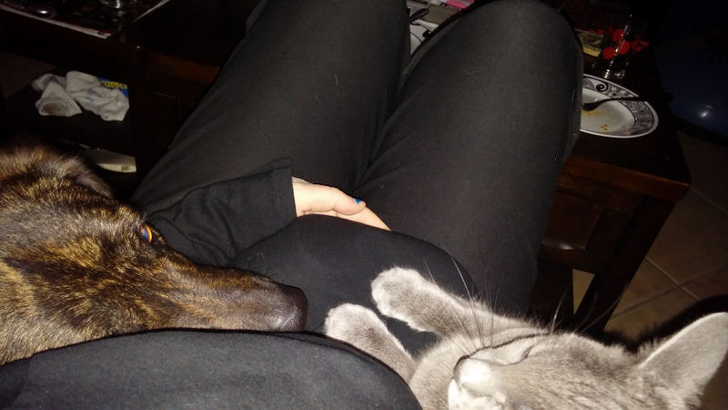 Illustration for article titled Pet Snuggling: Extreme Edition